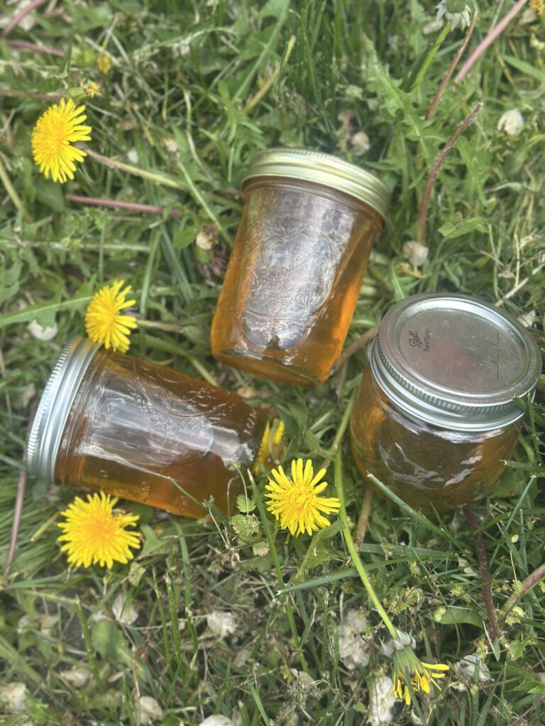 Three jars of golden honey placed on green grass, surrounded by bright yellow dandelions.