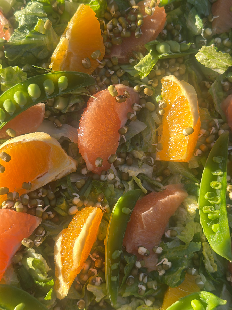 add mung beans and citrus