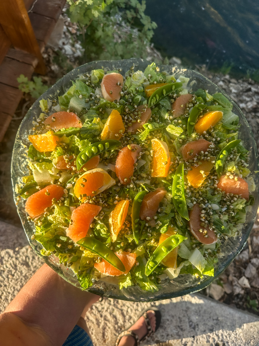 finished citrus salad with mung beans