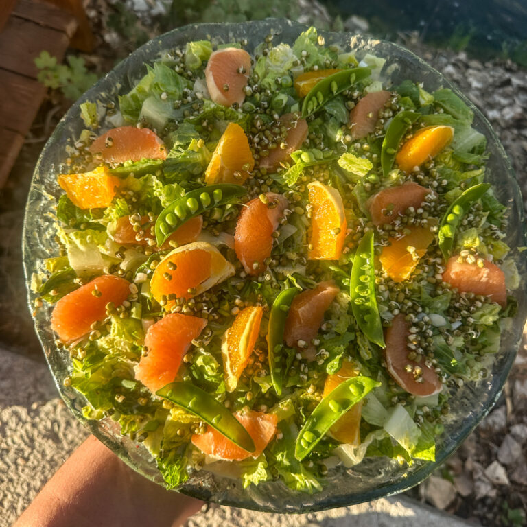 Citrus Salad with grapefruit and oranges.