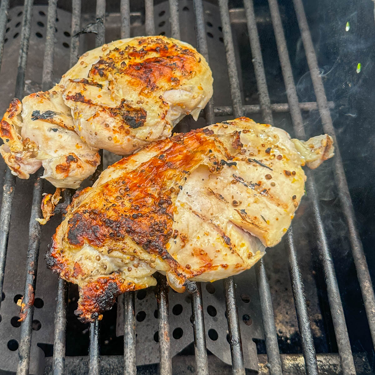 grill chicken